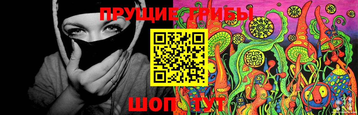 Галлюциногенные грибы Psilocybe  Псилоцибиновые грибы прущие грибы  Вход с VPN  Татарск 